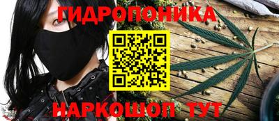 ПСИЛОЦИБИНОВЫЕ ГРИБЫ Изобильный